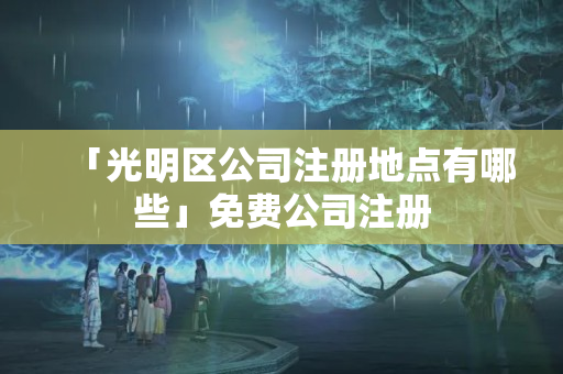 「光明區公司注冊地點有哪些」免費公司注冊