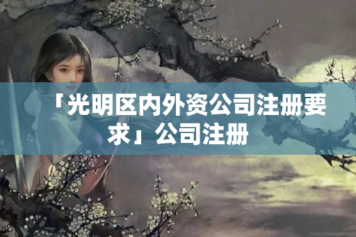 「光明區內外資公司注冊要求」公司注冊