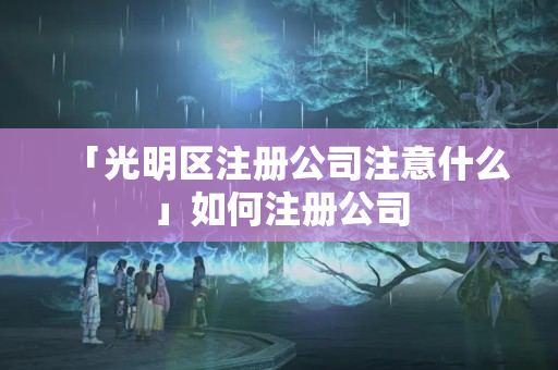 「光明區注冊公司注意什么」如何注冊公司