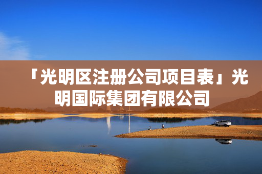 「光明區注冊公司項目表」光明國際集團有限公司