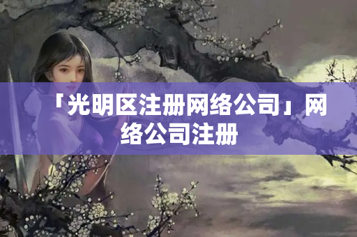 「光明區注冊網絡公司」網絡公司注冊