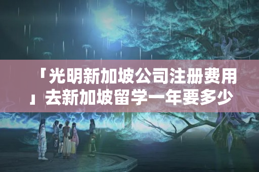 「光明新加坡公司注冊費(fèi)用」去新加坡留學(xué)一年要多少錢