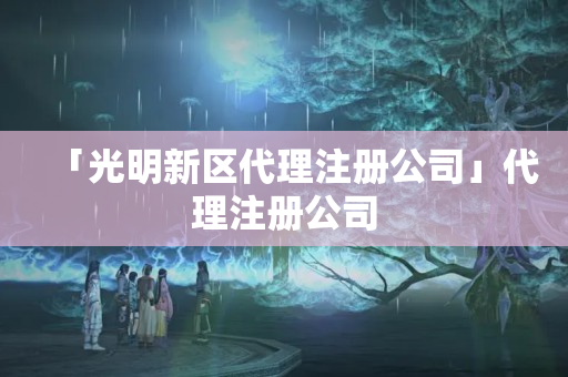 「光明新區(qū)代理注冊公司」代理注冊公司