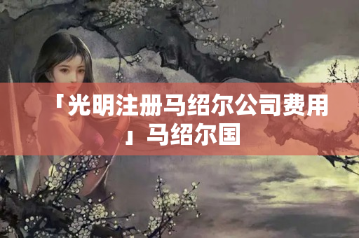 「光明注冊(cè)馬紹爾公司費(fèi)用」馬紹爾國(guó)