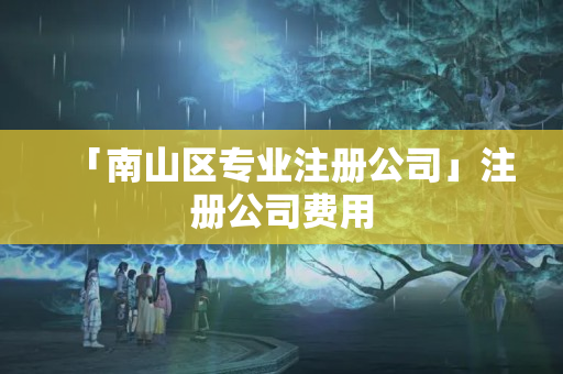 「南山區(qū)專業(yè)注冊(cè)公司」注冊(cè)公司費(fèi)用