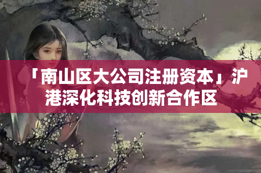 「南山區(qū)大公司注冊資本」滬港深化科技創(chuàng)新合作區(qū)
