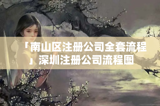 「南山區(qū)注冊(cè)公司全套流程」深圳注冊(cè)公司流程圖