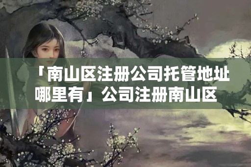 「南山區注冊公司托管地址哪里有」公司注冊南山區