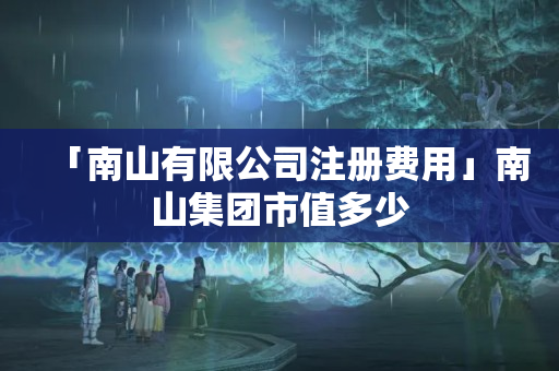 「南山有限公司注冊費用」南山集團市值多少