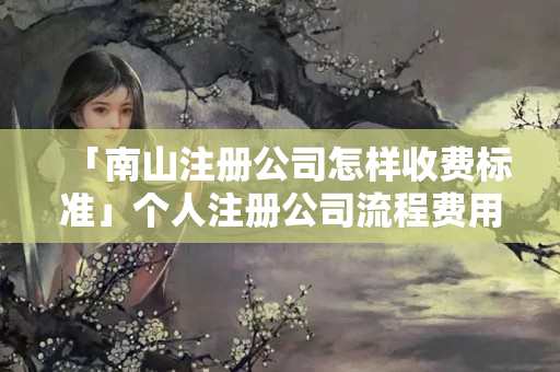 「南山注冊公司怎樣收費標準」個人注冊公司流程費用