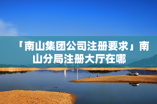 「南山集團公司注冊要求」南山分局注冊大廳在哪