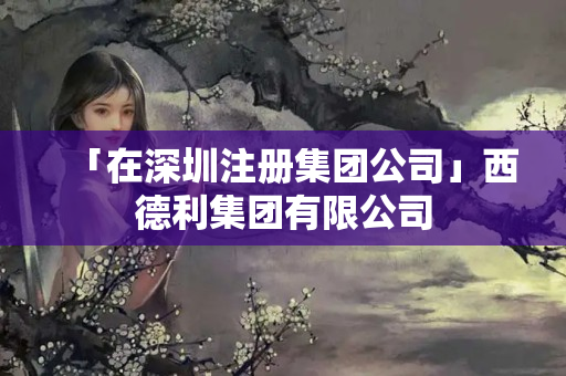 「在深圳注冊集團公司」西德利集團有限公司