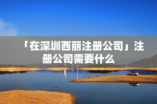「在深圳西麗注冊公司」注冊公司需要什么