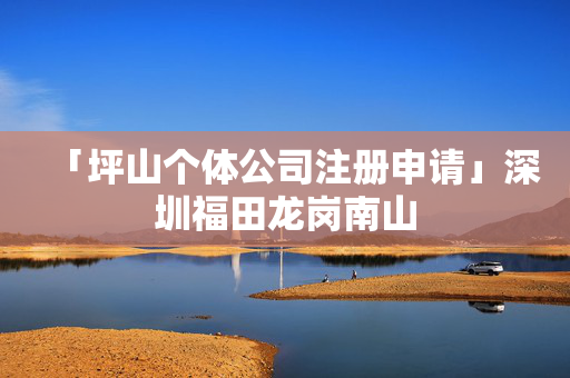 「坪山個體公司注冊申請」深圳福田龍崗南山