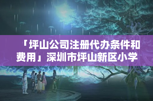 「坪山公司注冊(cè)代辦條件和費(fèi)用」深圳市坪山新區(qū)小學(xué)就讀條件