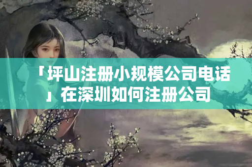 「坪山注冊小規模公司電話」在深圳如何注冊公司