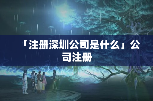「注冊深圳公司是什么」公司注冊