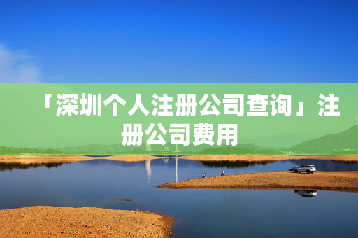 「深圳個人注冊公司查詢」注冊公司費用