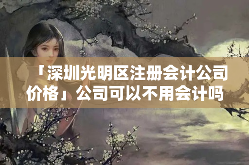 「深圳光明區(qū)注冊會計公司價格」公司可以不用會計嗎