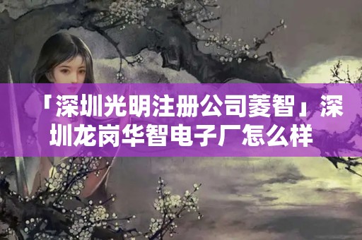 「深圳光明注冊(cè)公司菱智」深圳龍崗華智電子廠怎么樣