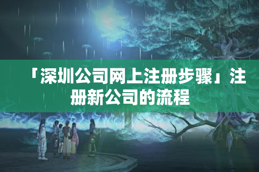 「深圳公司網上注冊步驟」注冊新公司的流程