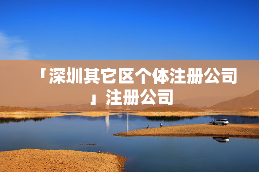 「深圳其它區個體注冊公司」注冊公司
