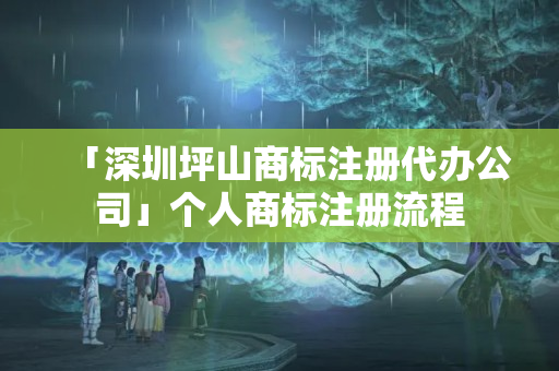 「深圳坪山商標(biāo)注冊(cè)代辦公司」個(gè)人商標(biāo)注冊(cè)流程