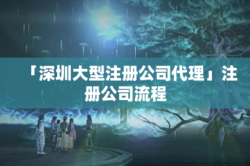 「深圳大型注冊公司代理」注冊公司流程