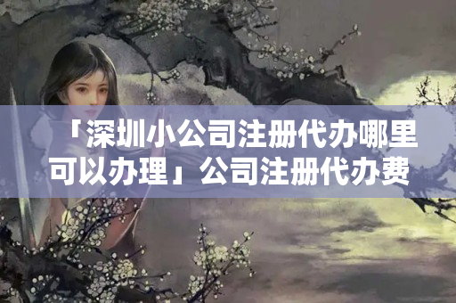 「深圳小公司注冊代辦哪里可以辦理」公司注冊代辦費用
