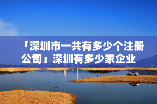 「深圳市一共有多少個(gè)注冊(cè)公司」深圳有多少家企業(yè)