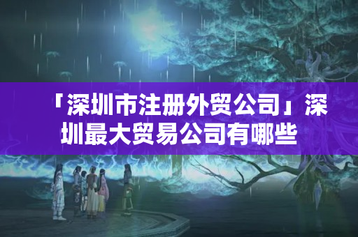 「深圳市注冊外貿公司」深圳最大貿易公司有哪些