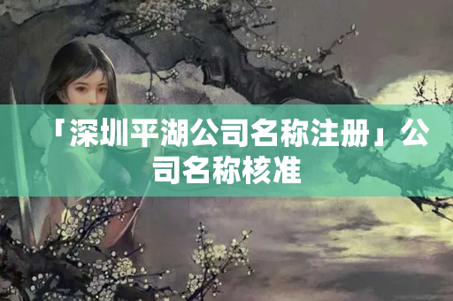 「深圳平湖公司名稱注冊」公司名稱核準