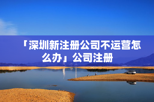 「深圳新注冊公司不運營怎么辦」公司注冊