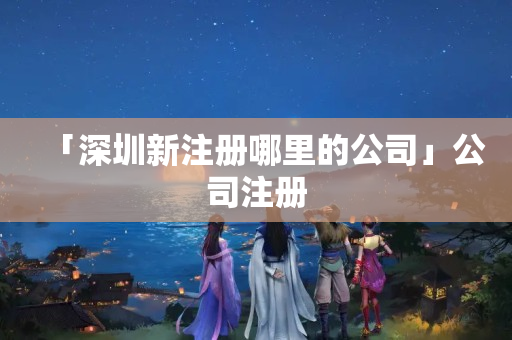 「深圳新注冊(cè)哪里的公司」公司注冊(cè)