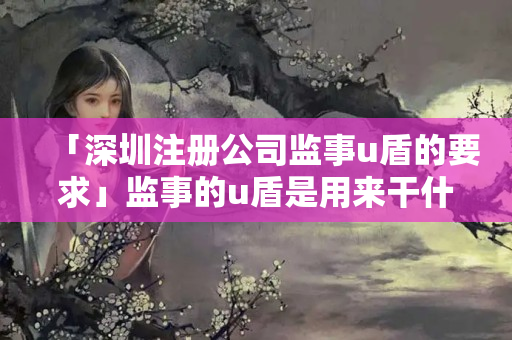 「深圳注冊公司監事u盾的要求」監事的u盾是用來干什么的