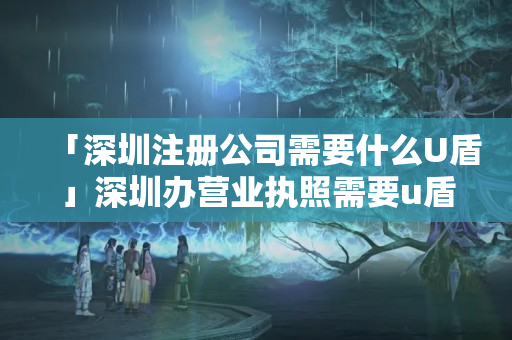「深圳注冊公司需要什么U盾」深圳辦營業執照需要u盾嗎