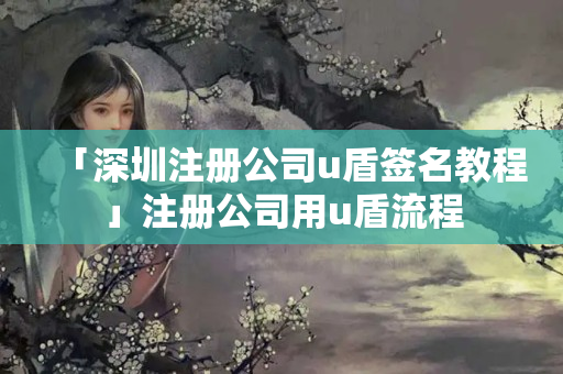 「深圳注冊公司u盾簽名教程」注冊公司用u盾流程
