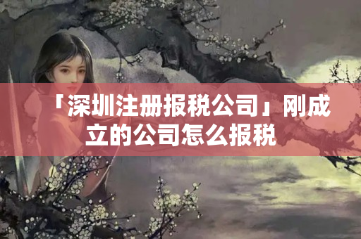 「深圳注冊報稅公司」剛成立的公司怎么報稅