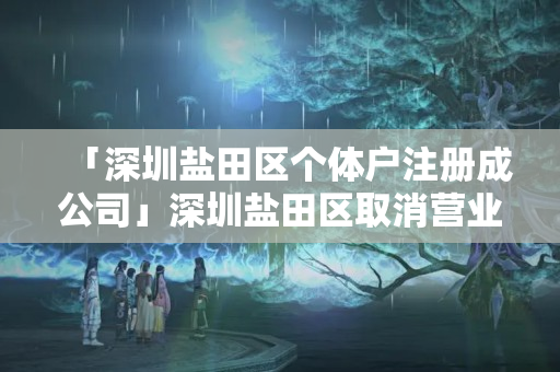 「深圳鹽田區(qū)個(gè)體戶注冊(cè)成公司」深圳鹽田區(qū)取消營(yíng)業(yè)執(zhí)照