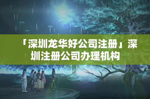 「深圳龍華好公司注冊」深圳注冊公司辦理機構