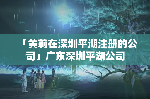 「黃莉在深圳平湖注冊的公司」廣東深圳平湖公司