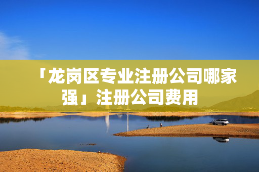 「龍崗區專業注冊公司哪家強」注冊公司費用