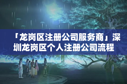 「龍崗區注冊公司服務商」深圳龍崗區個人注冊公司流程