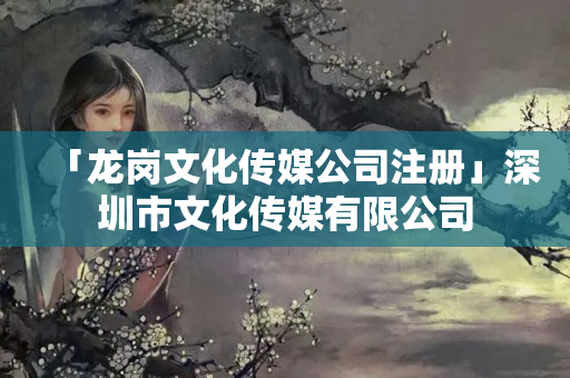 「龍崗文化傳媒公司注冊」深圳市文化傳媒有限公司