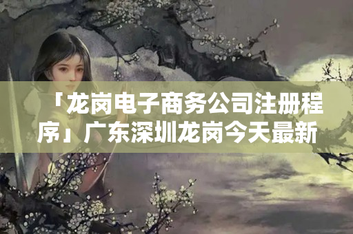 「龍崗電子商務公司注冊程序」廣東深圳龍崗今天最新通知