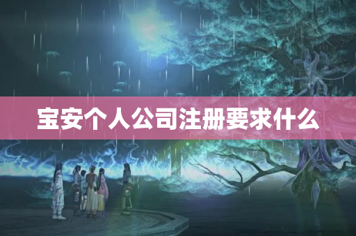 寶安個(gè)人公司注冊(cè)要求什么