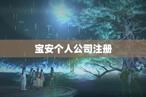 寶安個人公司注冊