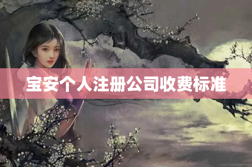 寶安個人注冊公司收費標(biāo)準(zhǔn)