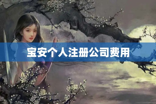 寶安個人注冊公司費用