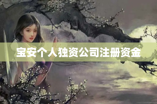 寶安個人獨資公司注冊資金